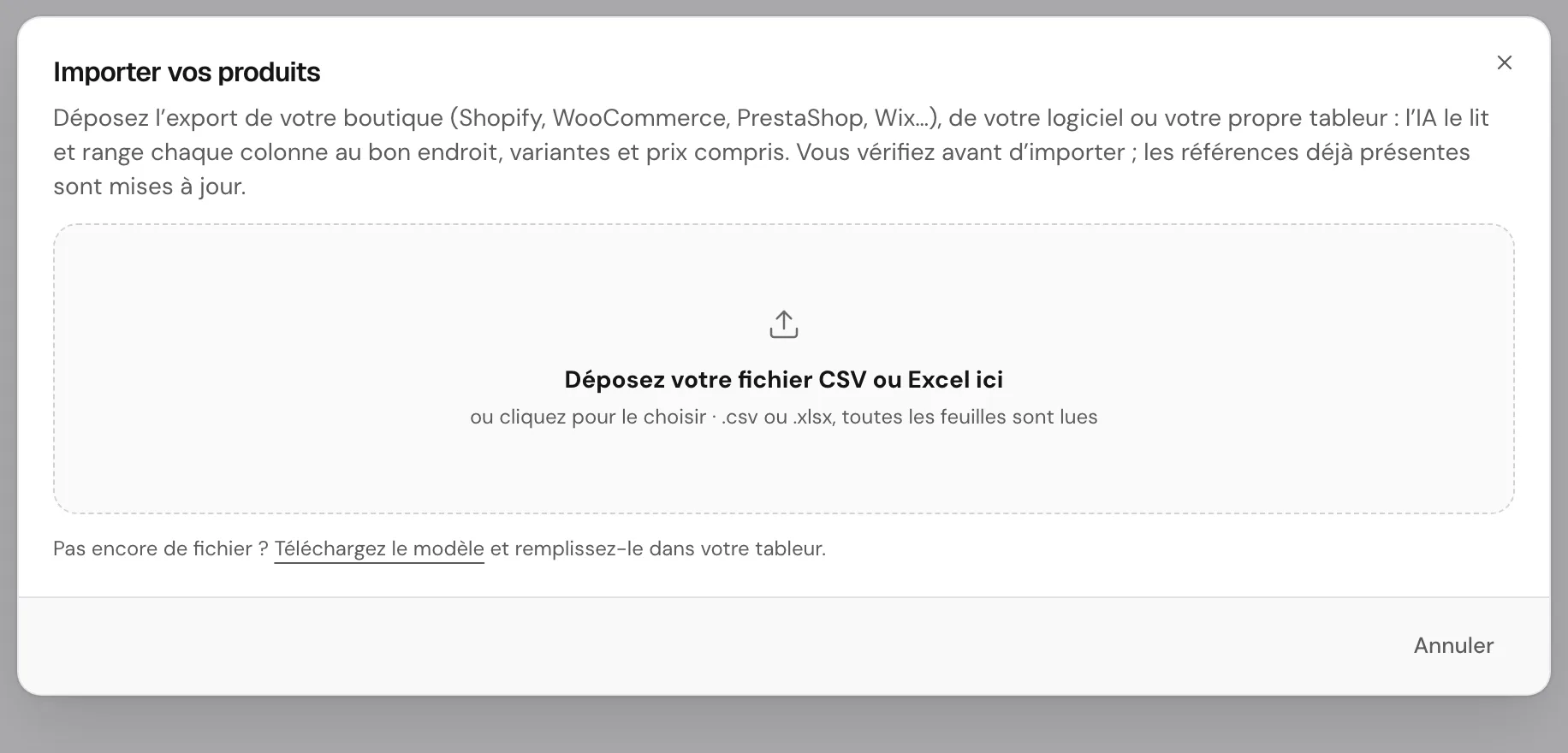 La fenêtre d’import des produits : déposez votre fichier CSV ou Excel, l’IA range chaque colonne (données fictives)